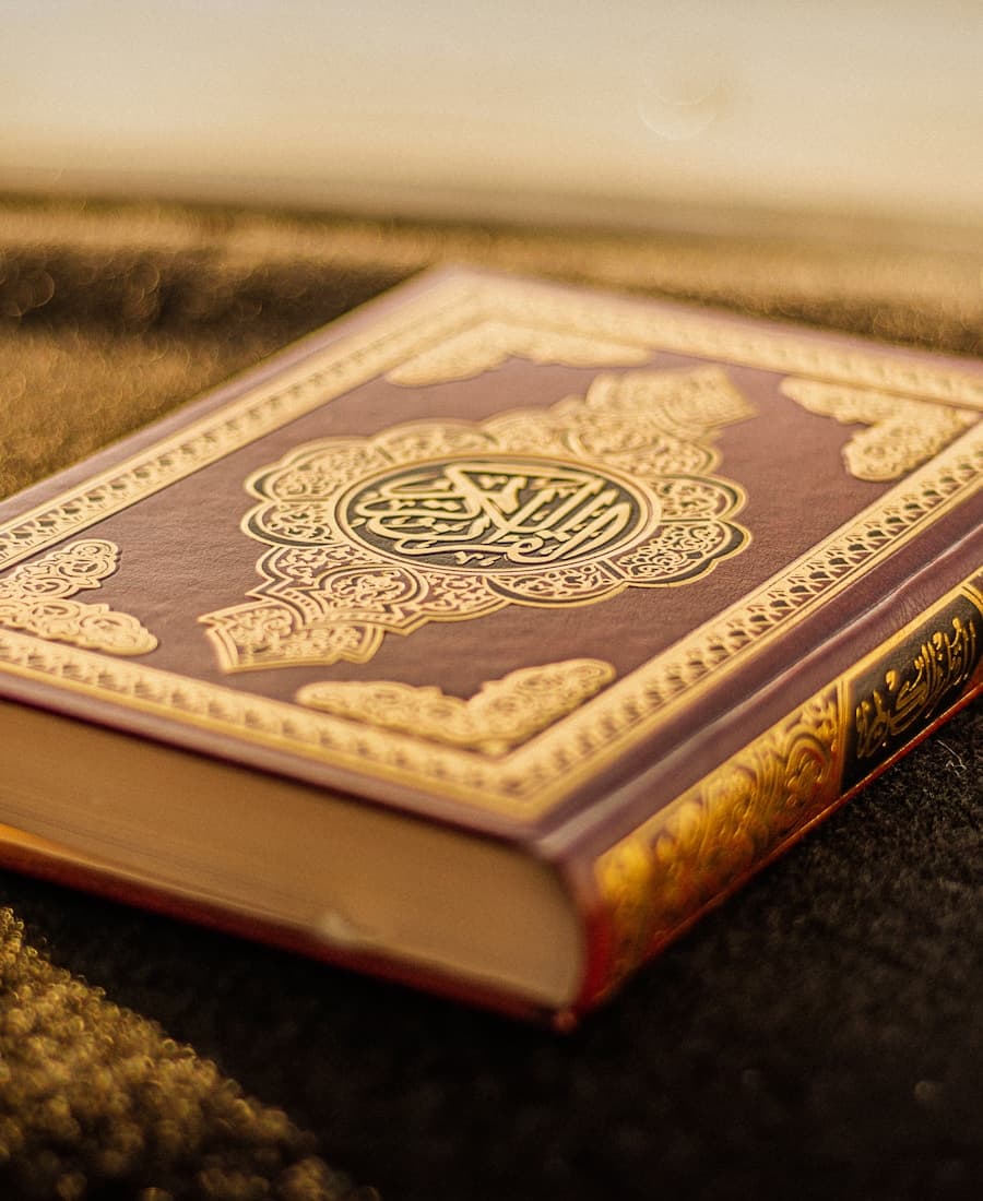 طالب يتعلّم العربية في حصة مباشرة عبر الإنترنت مع معلم أصلي